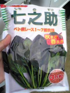 7nosuke.jpg