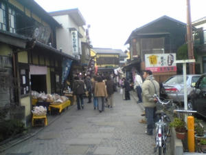 kashi3.jpg