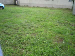 a1cd6595jpeg