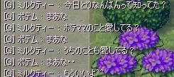 20091216_7.jpg