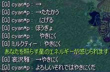 20091217.jpg