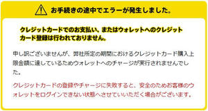 20100207_6.jpg