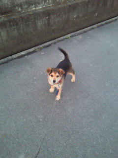 201003131806000.jpg