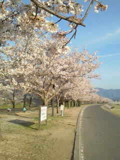 201004081710000.jpg