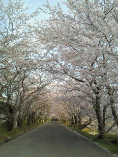 201004081732000.jpg
