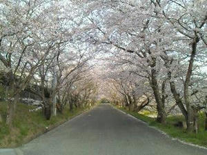 201004081732001.jpg