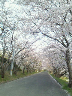 201004081733001.jpg
