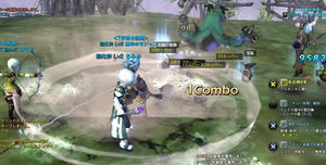 20100620_3.jpg