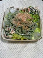 udon