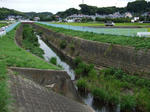 DSCF0278.JPG