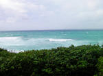 s-SANY0309.jpg