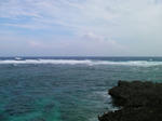 SANY0331.jpg