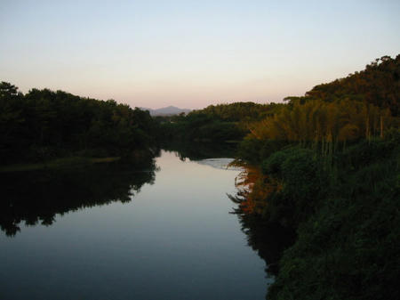 夕日