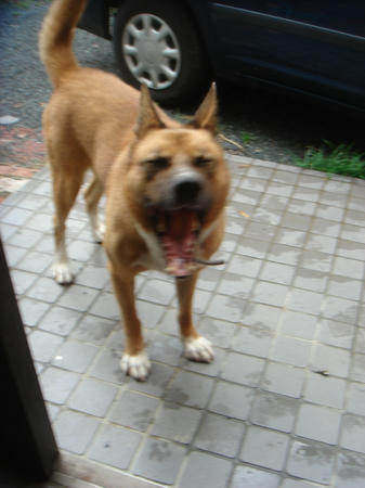 DSC03665.jpg
