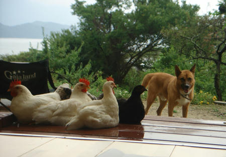 DSC03685.jpg