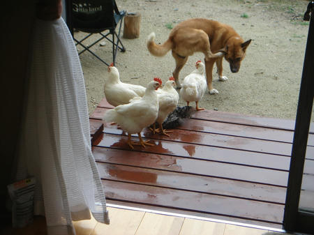 DSC03677.jpg