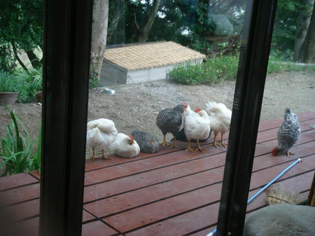 DSC03700.jpg
