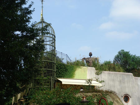 p61.JPG