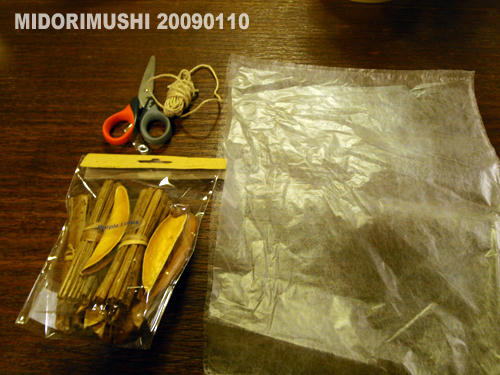 20090110-1.jpg