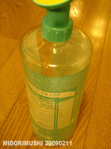 20090211-4.jpg