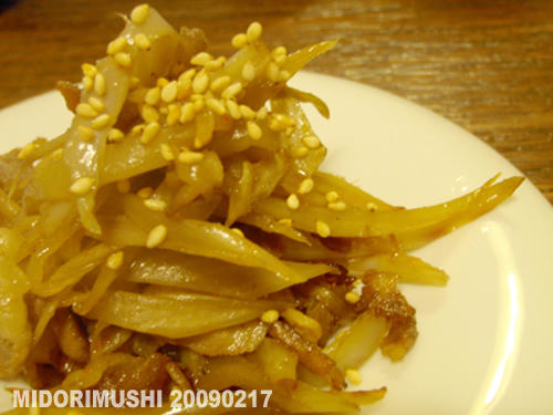 20090217-1.jpg