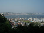 P8050025.jpg