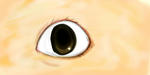 img.jpg