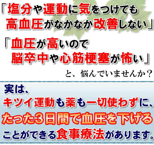 20101119175606.jpg