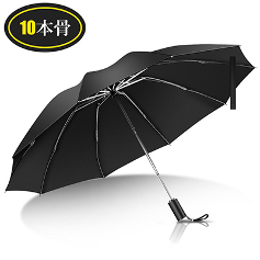 中華レビューの試供品の画像２。「10本骨」