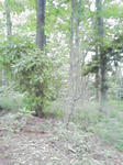 090903_1555~01.jpg