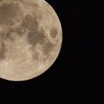 ウルフムーン・満月の別名写真集