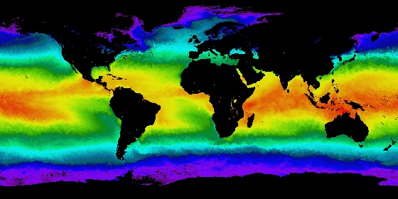 12月の世界の海表面温度