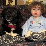 赤ちゃんと犬
