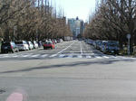 P1010156.JPG
