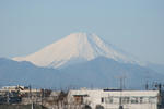 IMG_3416.JPG