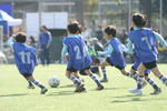 IMG_3733.JPG