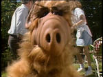 alf.JPG