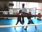 u152.jpg