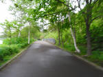 RIMG005.jpg