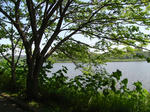 RIMG0300.jpg
