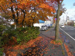 RIMG0030.jpg