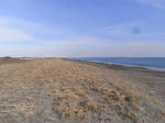 RIMG0376.jpg