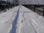 RIMG0381.jpg