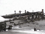 RIMG0468.jpg