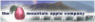 logord_mtacy02.gif