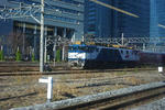 IMGP0085.JPG