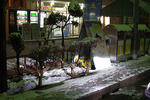 IMGP0782.JPG
