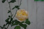 IMGP1791.JPG