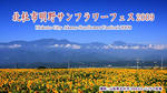 00466895694.jpg