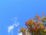 090927.jpg